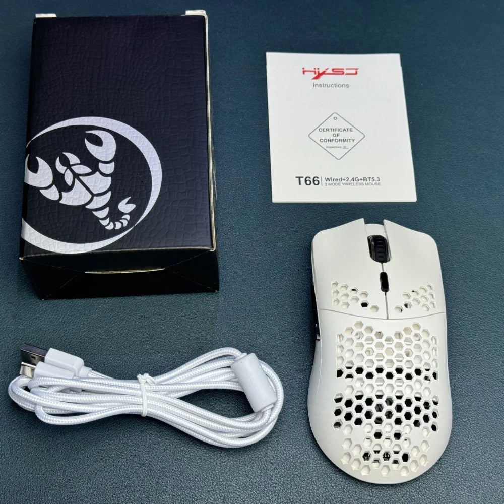 Souris Gaming Sans Fil RGB 10 000 DPI – Rechargeable